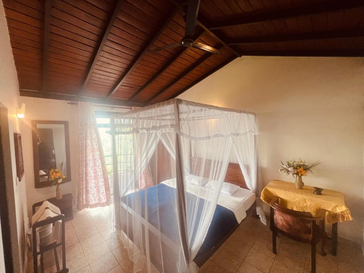 Ambiente Guest House Ella Extérieur photo