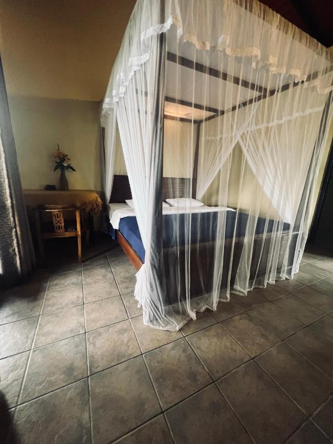Ambiente Guest House Ella Extérieur photo