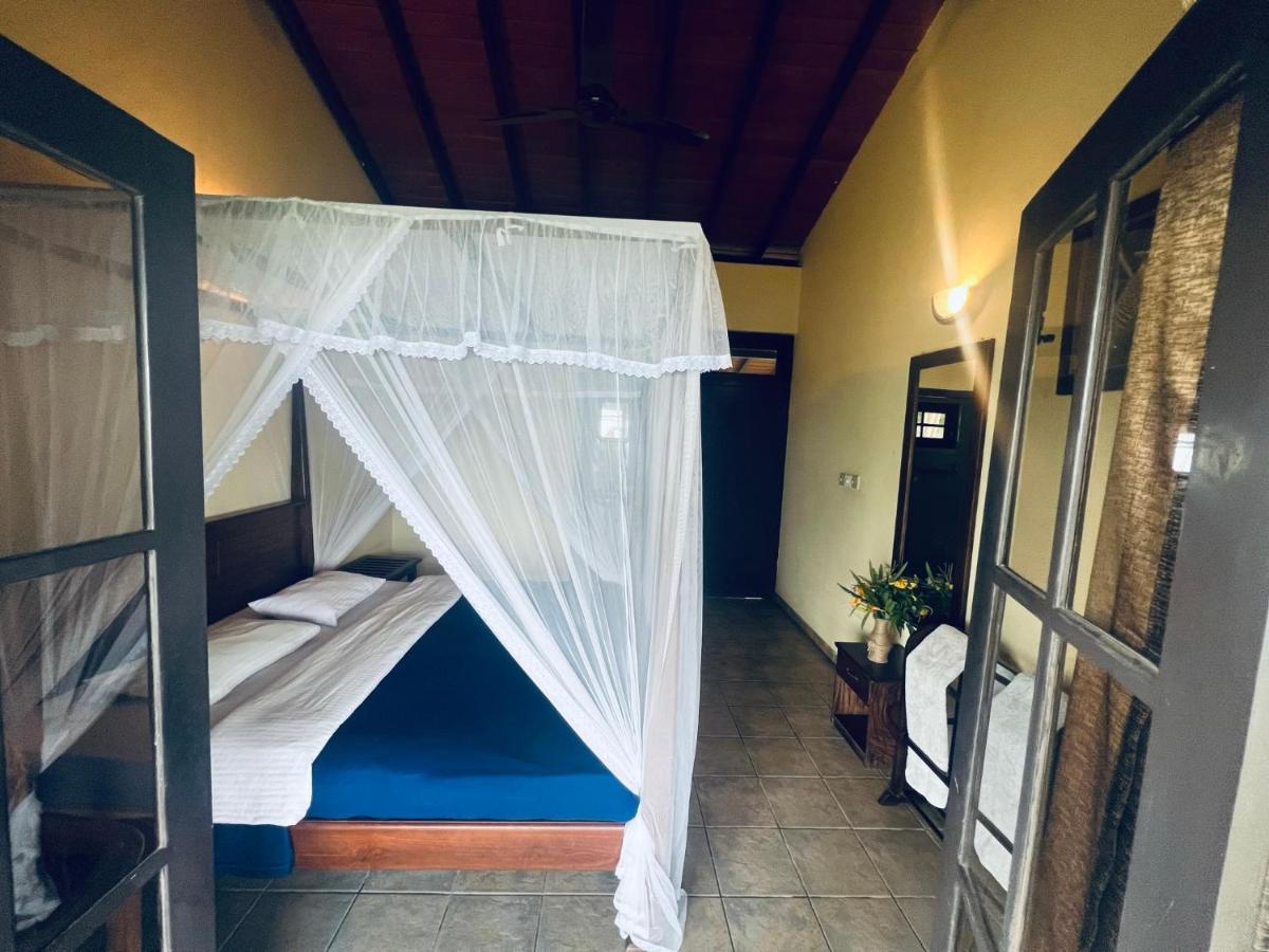 Ambiente Guest House Ella Extérieur photo