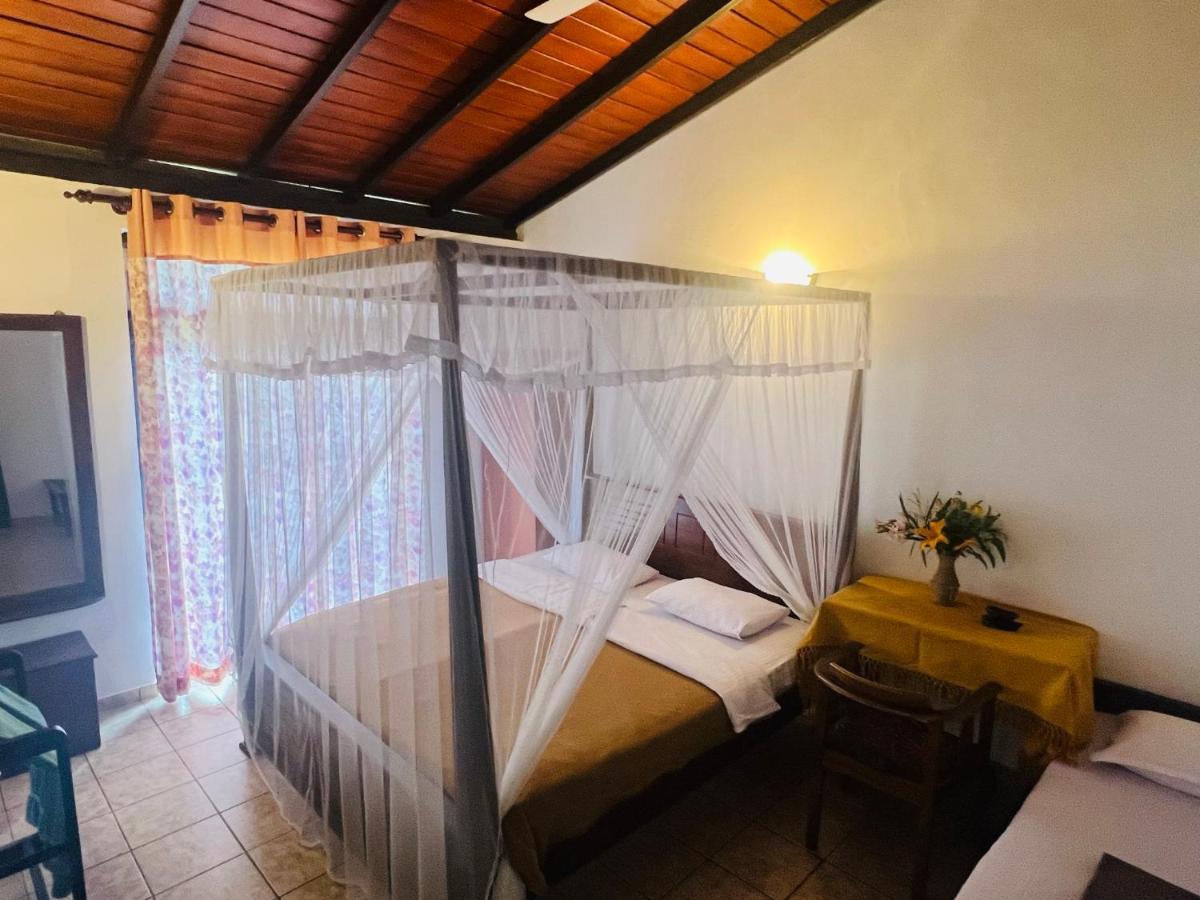 Ambiente Guest House Ella Extérieur photo